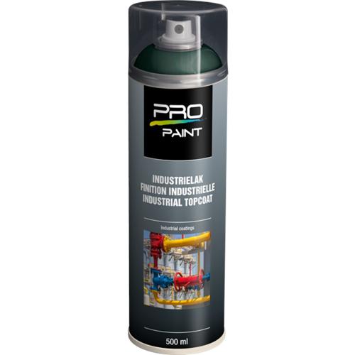 Lakspray hoogglans 500ml RAL 6009 dennengroen product photo