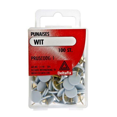 Punaises 100 stuks product photo