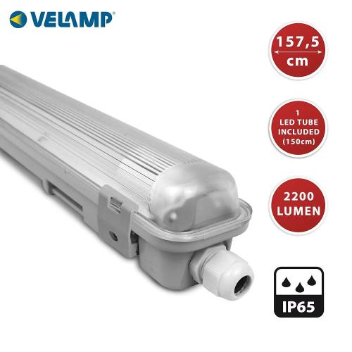 LED armatuur met 1 tl-buis 150cm >Cri 80 1x22w 4000K 2200 Lumen (IP65) product photo https://media.isero.nl/Isero-IseroNL-Site/images/L/2255788_1.jpg L