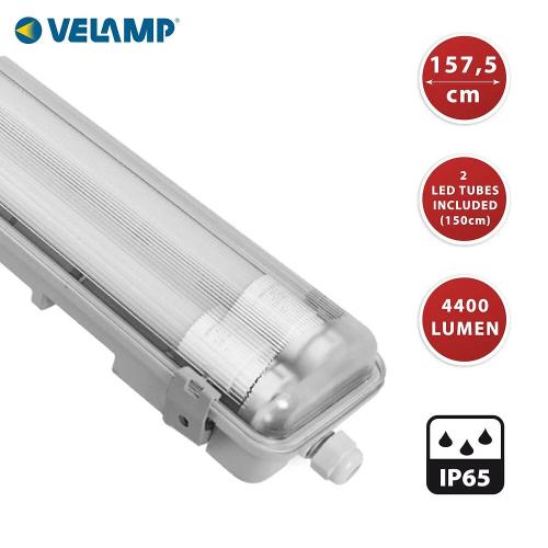 LED armatuur met 2 tl-buizen 150cm >Cri 80 2x22w 4000K 4400 Lumen (IP65) product photo https://media.isero.nl/Isero-IseroNL-Site/images/L/2255789_1.jpg L