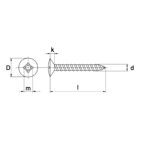 Zelftappende plaatschroef 4.2X19MM DIN 7983 RVS A2 lenskop PH2 product photo