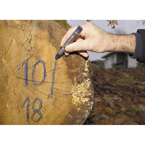 Pica Classic 590/40 markeerkrijt PRO rood - 12 krijtjes PI59040 product photo https://media.isero.nl/Isero-IseroNL-Site/images/L/2591173_2.jpg L