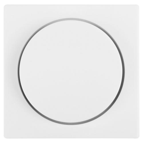 Jung centraalplaat voor dimmer met enkele knop polar wit serie AS500 in duurzaam doosje product photo