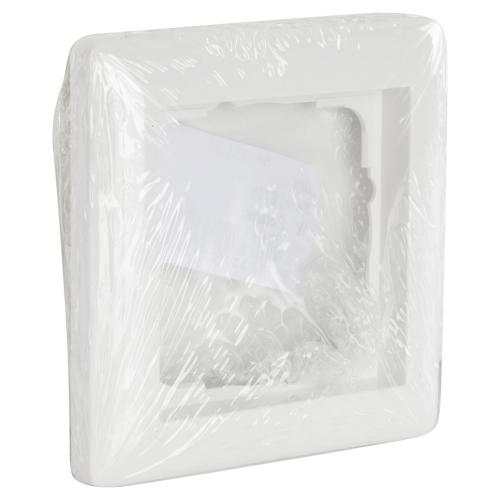 Gira afdekraam inbouw 1 voudig Ral 9010 polar wit serie Standaard 55 in duurzame verpakking product photo https://media.isero.nl/Isero-IseroNL-Site/images/L/2730905_1.jpg L