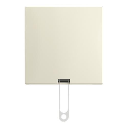 ABB Busch-Jaeger trekschakelaar opbouw wissel zonder trekkoord creme Standaard Ap Ral 1013 2TKA00005520 product photo