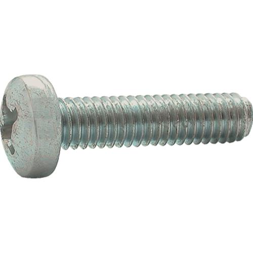 Metaalschroef gegalvaniseerd cilinderkop PH2 M5x70mm product photo