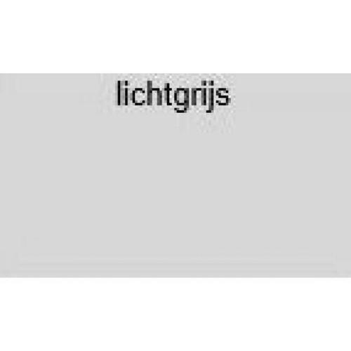 Kleurkopschroef RVS TX20 4.8x38mm lichtgrijs RAL7035 product photo https://media.isero.nl/Isero-IseroNL-Site/images/L/356252_1.jpg L