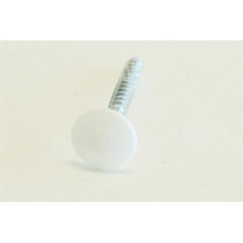 Kleurkopschroef RVS TX20 4.8x38mm zuiverwit RAL9010 product photo https://media.isero.nl/Isero-IseroNL-Site/images/L/356288_1.jpg L