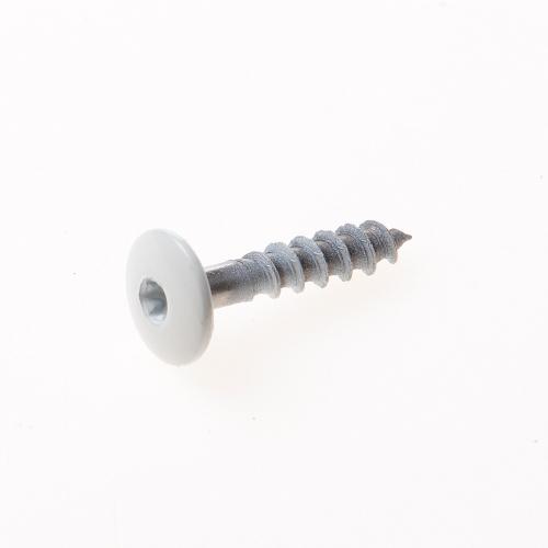 Kleurkopschroef RVS TX20 4.8x25mm zuiverwit RAL9010 product photo