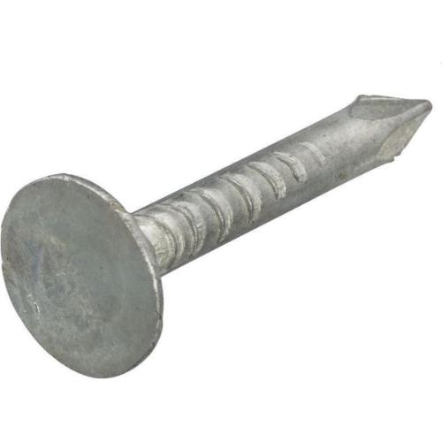 Asfaltnagels verzinkt 2.5kg 2.0x20mm product photo