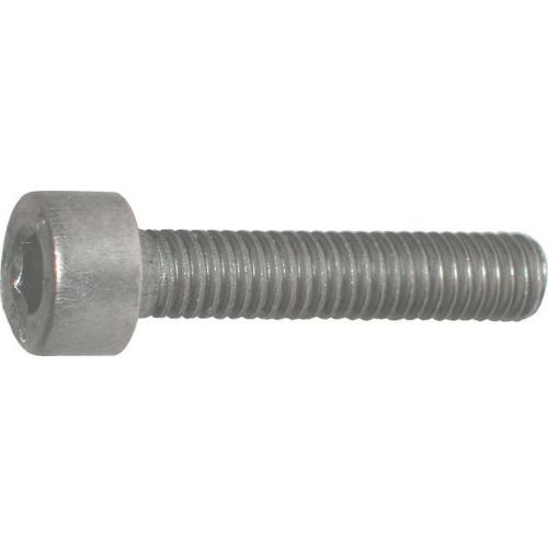 Inbusbout RVS A2 cilinderkop DIN 912 M6x30 product photo