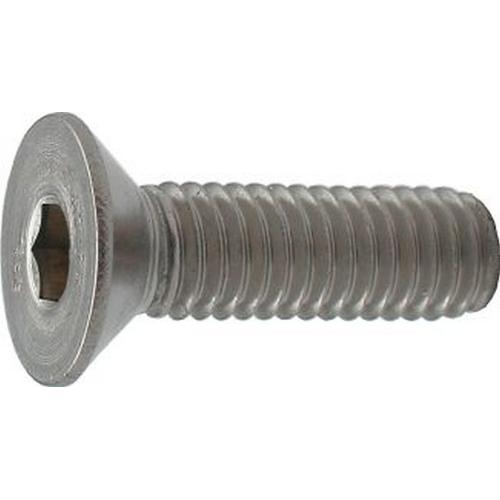 Inbusbout RVS A2 platkop DIN 7991 M5x30 product photo