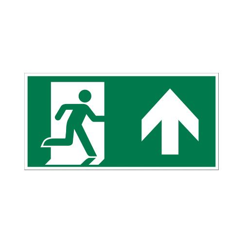 Bord Rechtdoor/naar boven vluchtweg 150x300mm product photo