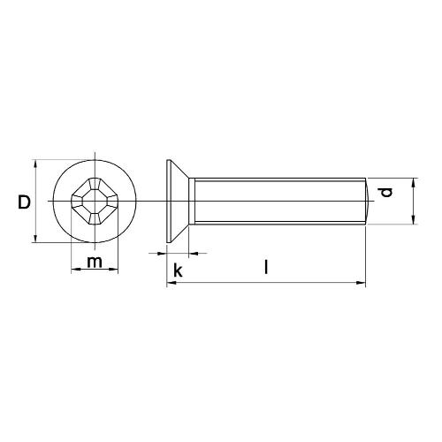 Metaalschroef M6X40MM DIN 965 RVS A2 platkop PH3 product photo