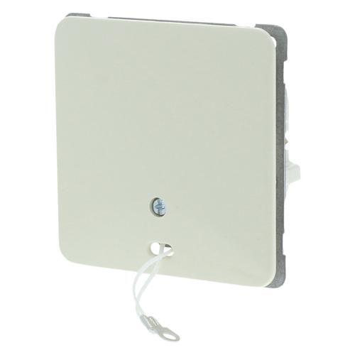 Schakelaar inbouw trek wissel creme product photo