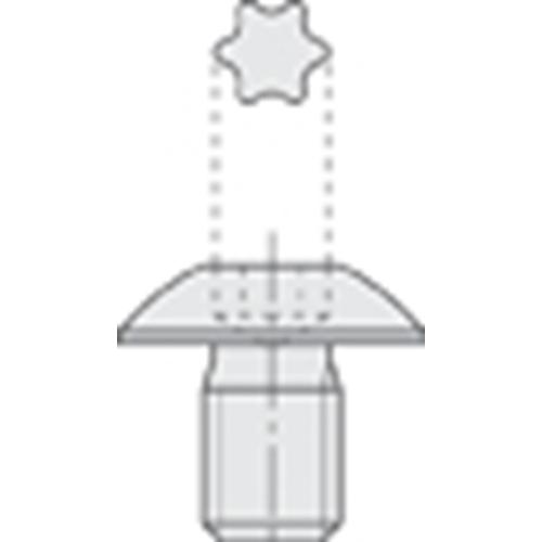 TORX-BOUT M4X4 (GROTE KOP-TX15 product photo