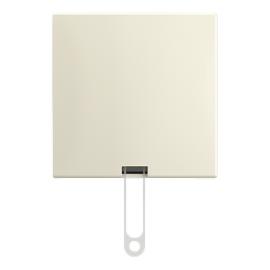 ABB Busch-Jaeger trekschakelaar opbouw wissel zonder trekkoord creme Standaard Ap Ral 1013 2TKA00005520 product photo