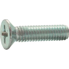 Metaalschroef gegalvaniseerd platkop PH4 M8x60mm product photo