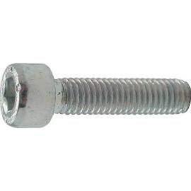 Inbusbout 8.8 gegalvaniseerd cilinderkop M5x25mm Inbusbout 8.8 gegalvaniseerd cilinderkop M5x25mm product photo