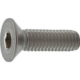 Inbusbout RVS A2 platkop DIN 7991 M6x10 product photo