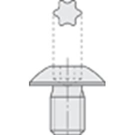 TORX-BOUT M4X4 (GROTE KOP-TX15 product photo