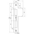 Nemef sluitplaat RVS rechthoekig dr. 2 VP646/17 product photo