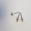 Dakpanschroef RVS A2 lenskop TX20 incl. ring 4.5x45mm product photo