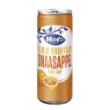 Sinaasappelsap blik 25cl product photo