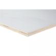 Populieren interieur gegrond 2500x1220x18mm b/bb product photo